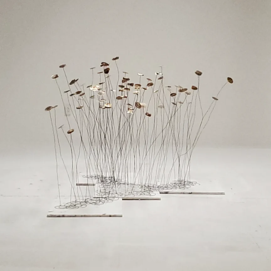 Unknown Stories, 2024