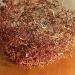 Absence of flight, 2007