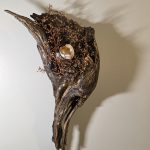 Fly Away, Fly Away, 2025