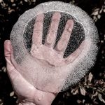 Birdbath Ice (False Spring), 2026